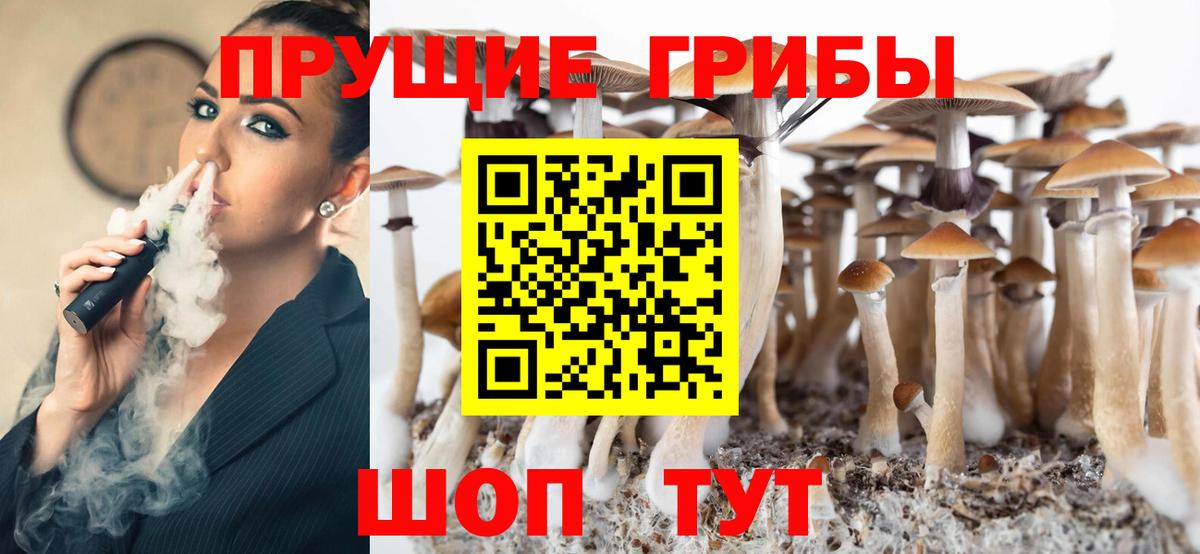 Псилоцибиновые грибы Cubensis  Галлюциногенные грибы мицелий  Чита  Вход с VPN 